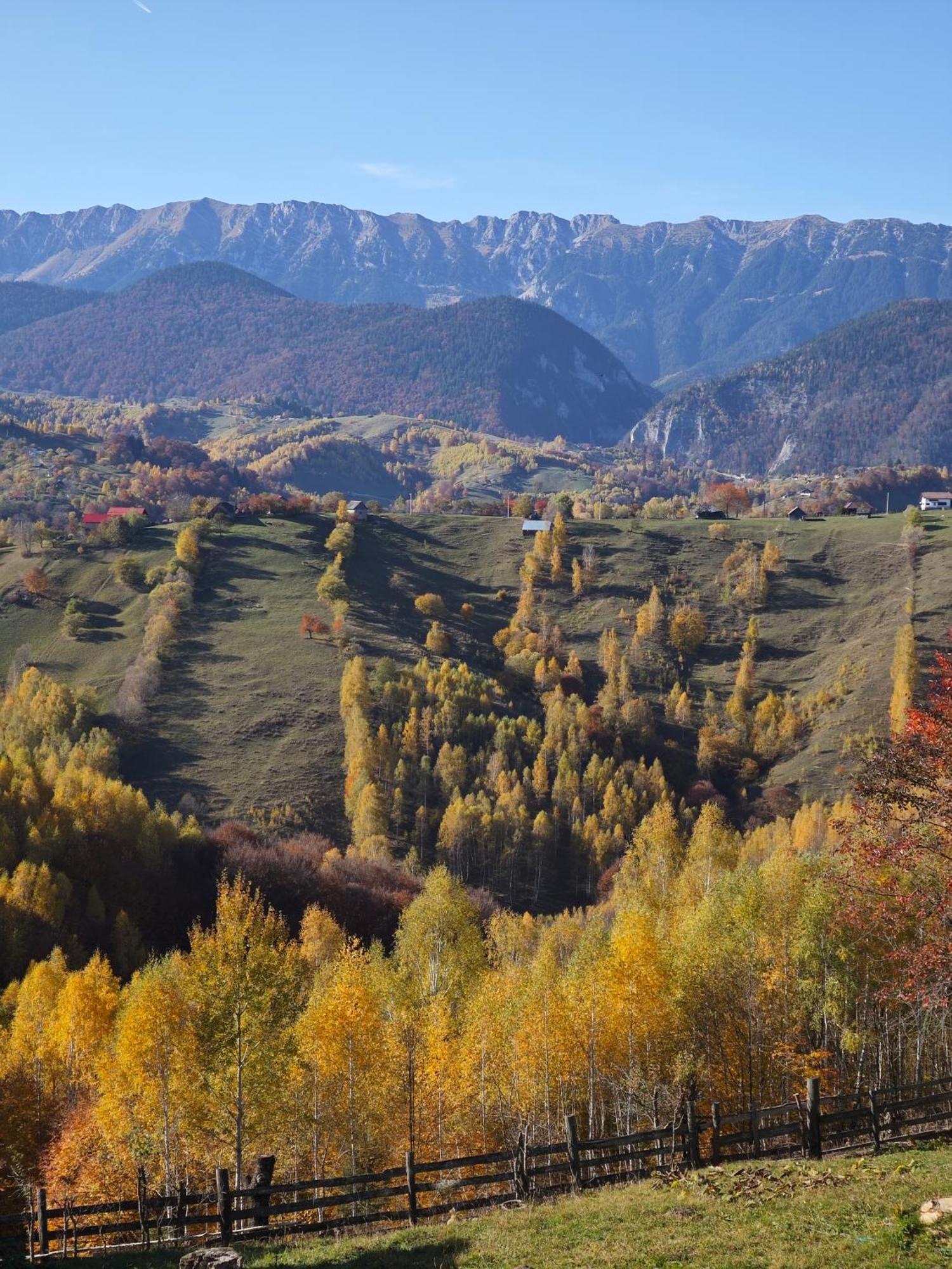 Alpine Escape Studios Măgura 外观 照片