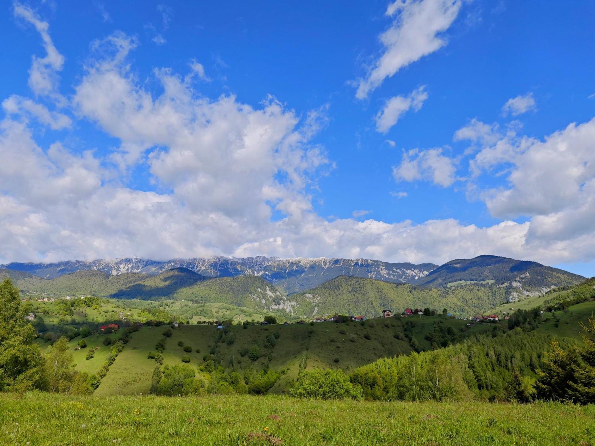 Alpine Escape Studios Măgura 外观 照片